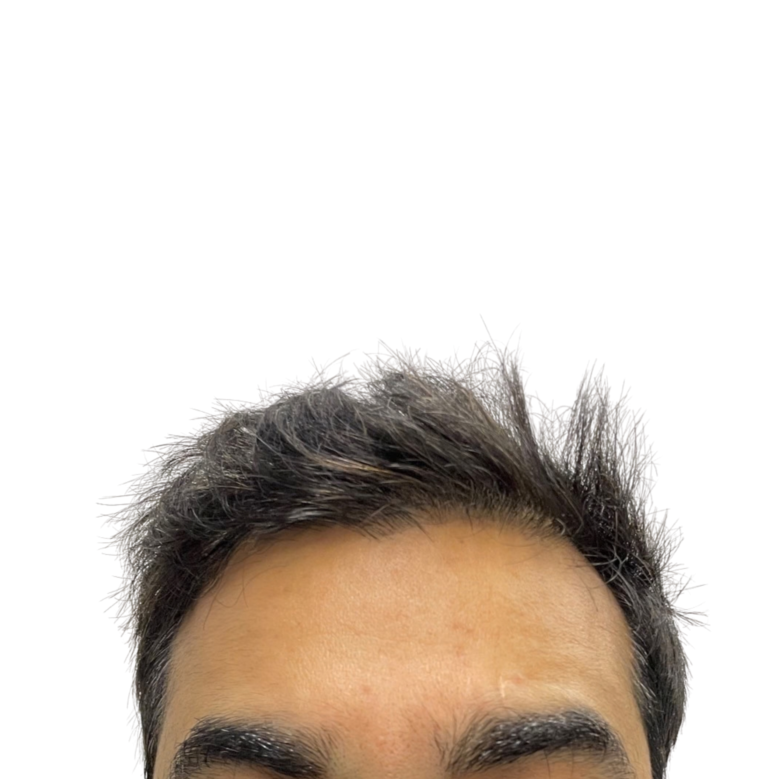 Rizvi before